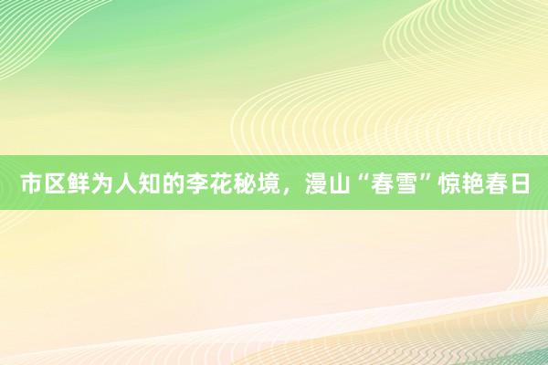 市区鲜为人知的李花秘境，漫山“春雪”惊艳春日