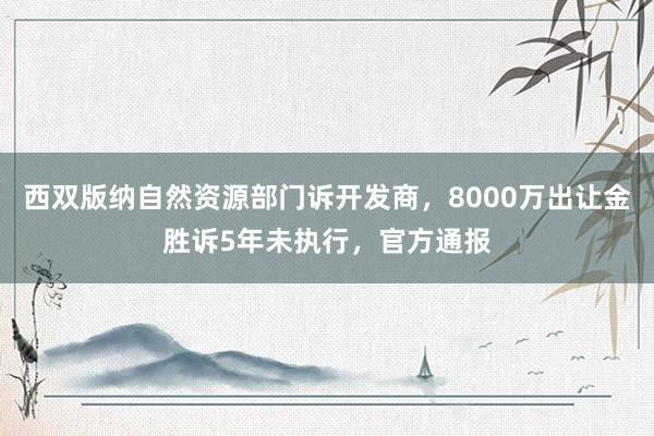 西双版纳自然资源部门诉开发商，8000万出让金胜诉5年未执行，官方通报