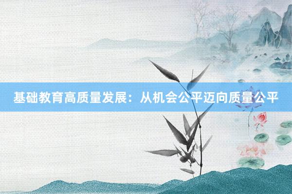 基础教育高质量发展：从机会公平迈向质量公平