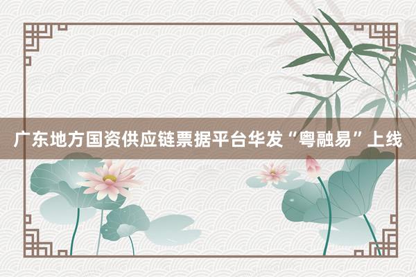 广东地方国资供应链票据平台华发“粤融易”上线