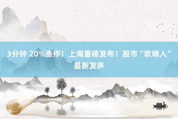 3分钟 20%涨停！上海重磅发布！股市“吹哨人”最新发声