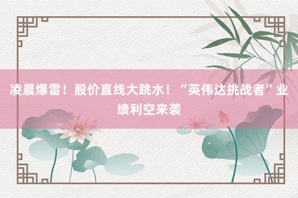 凌晨爆雷！股价直线大跳水！“英伟达挑战者”业绩利空来袭