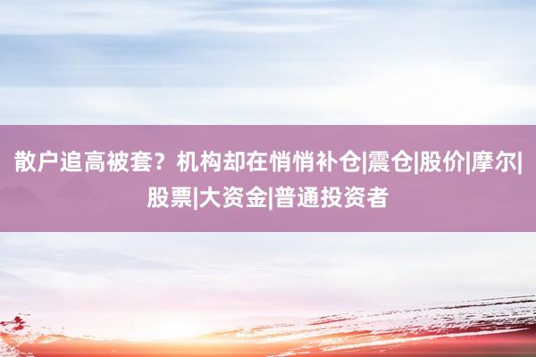 散户追高被套？机构却在悄悄补仓|震仓|股价|摩尔|股票|大资金|普通投资者