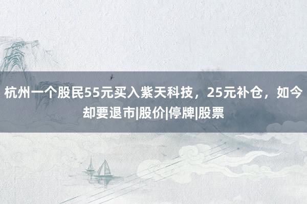 杭州一个股民55元买入紫天科技，25元补仓，如今却要退市|股价|停牌|股票