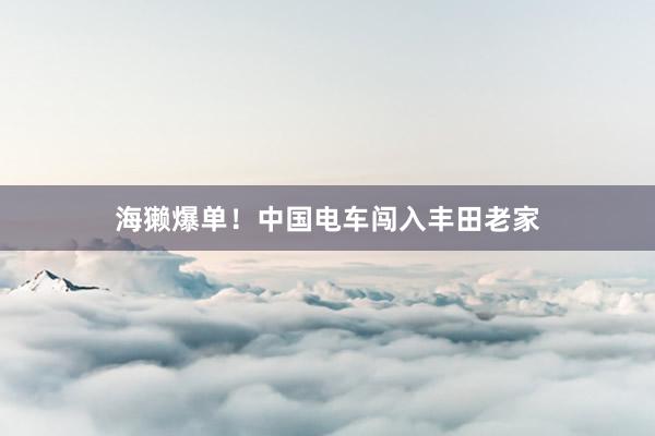 海獭爆单！中国电车闯入丰田老家