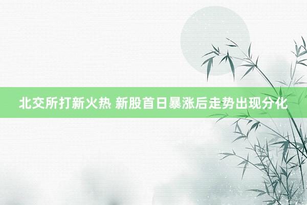 北交所打新火热 新股首日暴涨后走势出现分化