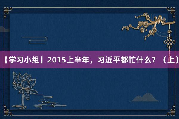 【学习小组】2015上半年，习近平都忙什么？（上）