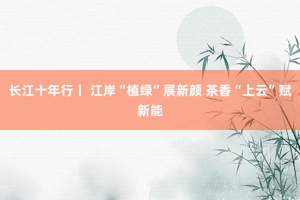长江十年行丨 江岸“植绿”展新颜 茶香“上云”赋新能