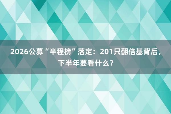 2026公募“半程榜”落定：201只翻倍基背后，下半年要看什么？