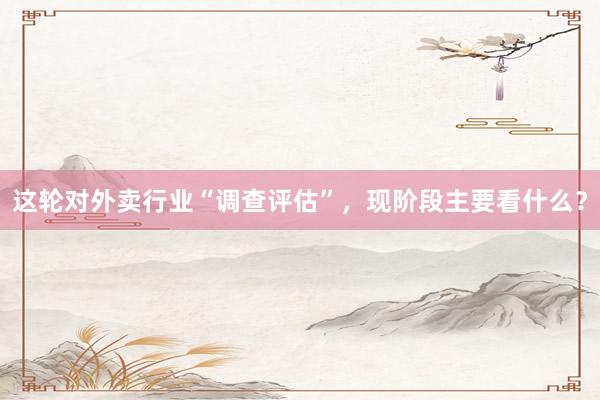 这轮对外卖行业“调查评估”，现阶段主要看什么？