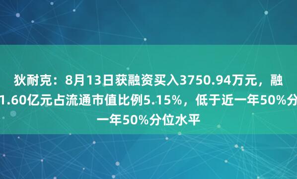 狄耐克：8月13日获融资买入3750.94万元，融资余额1.60亿元占流通市值比例5.15%，低于近一年50%分位水平