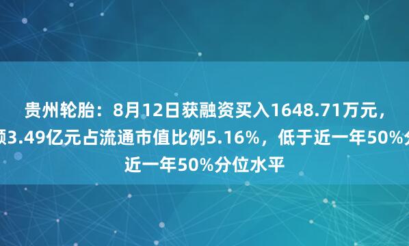 贵州轮胎：8月12日获融资买入1648.71万元，融资余额3.49亿元占流通市值比例5.16%，低于近一年50%分位水平