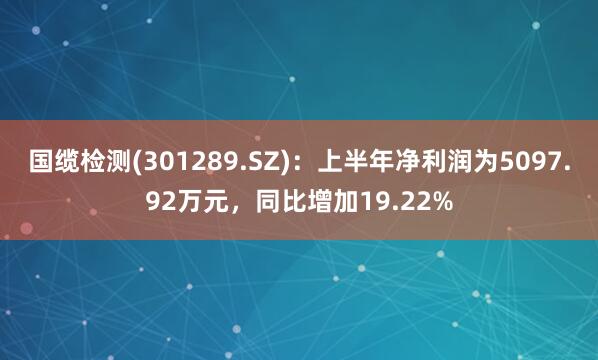 国缆检测(301289.SZ)：上半年净利润为5097.92万元，同比增加19.22%