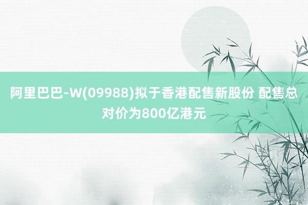 阿里巴巴-W(09988)拟于香港配售新股份 配售总对价为800亿港元