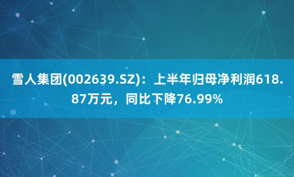 雪人集团(002639.SZ)：上半年归母净利润618.87万元，同比下降76.99%