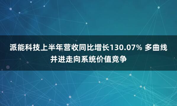 派能科技上半年营收同比增长130.07% 多曲线并进走向系统价值竞争
