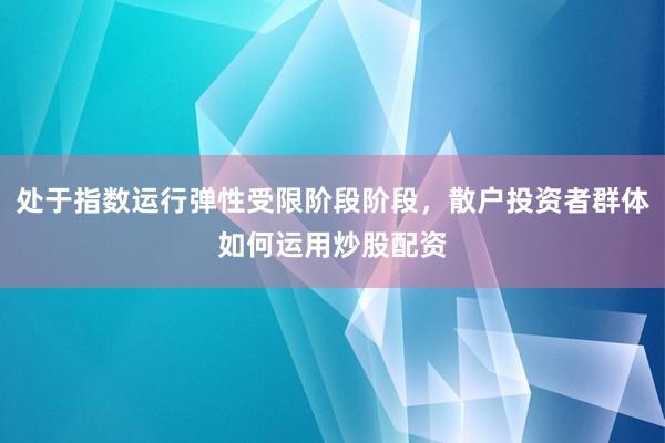 处于指数运行弹性受限阶段阶段，散户投资者群体如何运用炒股配资