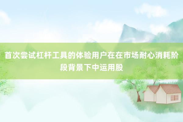 首次尝试杠杆工具的体验用户在在市场耐心消耗阶段背景下中运用股