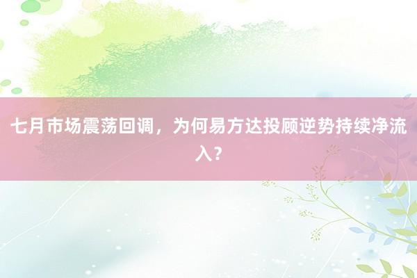七月市场震荡回调，为何易方达投顾逆势持续净流入？