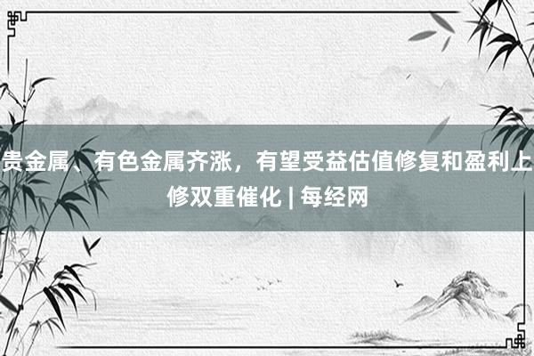 贵金属、有色金属齐涨，有望受益估值修复和盈利上修双重催化 | 每经网