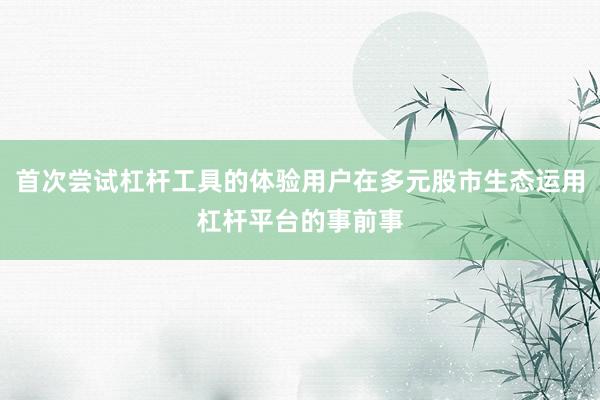 首次尝试杠杆工具的体验用户在多元股市生态运用杠杆平台的事前事