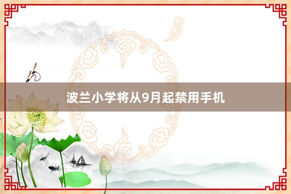 波兰小学将从9月起禁用手机