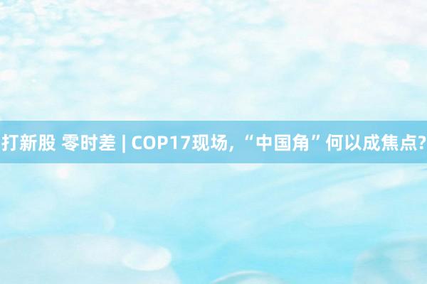 打新股 零时差 | COP17现场, “中国角”何以成焦点?