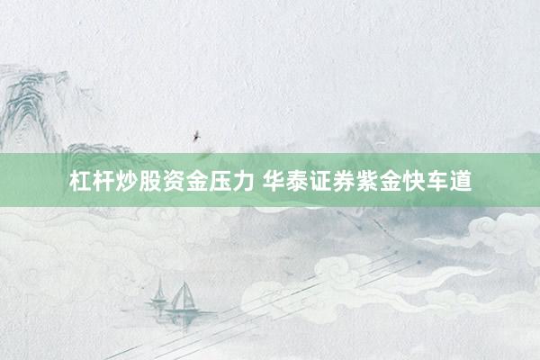 杠杆炒股资金压力 华泰证券紫金快车道