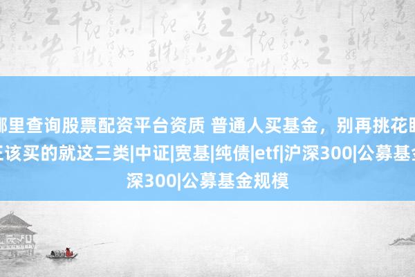哪里查询股票配资平台资质 普通人买基金，别再挑花眼，真正该买的就这三类|中证|宽基|纯债|etf|沪深300|公募基金规模