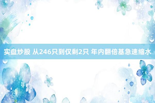 实盘炒股 从246只到仅剩2只 年内翻倍基急速缩水