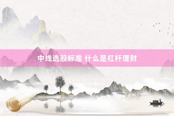 中线选股标准 什么是杠杆理财