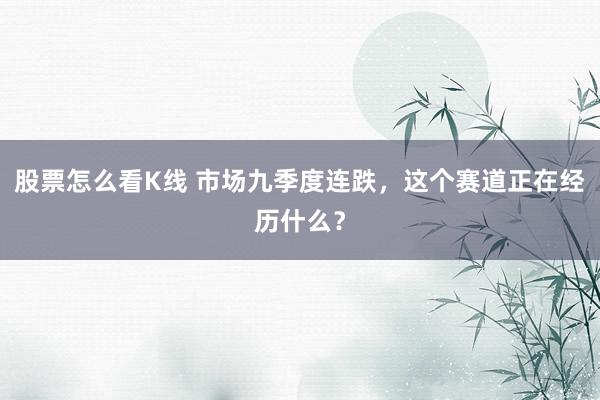股票怎么看K线 市场九季度连跌，这个赛道正在经历什么？