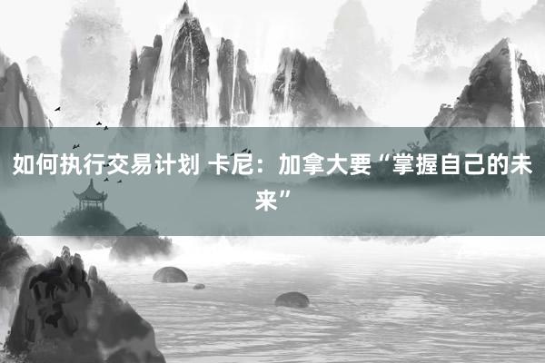 如何执行交易计划 卡尼：加拿大要“掌握自己的未来”