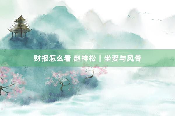 财报怎么看 赵祥松｜坐姿与风骨
