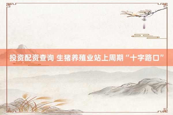 投资配资查询 生猪养殖业站上周期“十字路口”